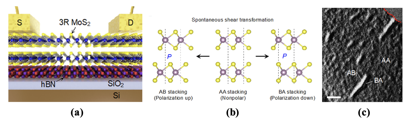 Revolutionizing Memory Technology: Ultrathin Sliding Ferroelectric ...